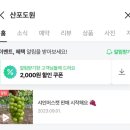 산포도원 이미지