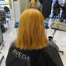 수원-0951 | [코토리베이지] 성신여대미용실 박승철헤어스투디오 성신여대점 솔직 후기