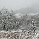 교촌리 이미지