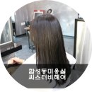 씨스터비