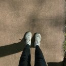 보도중로 2-22 | [AI 다이어트] 필라이즈 후기 | 2주차 식단·운동 루틴 기록 #2