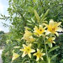 할량 함양점 이미지