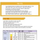슈보헤어 이미지