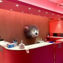 페퍼코인노래연습장 이미지