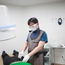 척바로마취통증의학과의원 이미지