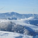 삼양목장 이미지