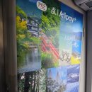 특급 | 일본 여행 오사카 입국심사 라피트 특급열차 후기