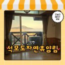 강화군 석모도자연휴양림 | 석모도자연휴양림 매화마름이용후기