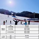 국가대표펜션 | 무주리조트 스키장 가격 국가대표스키샵 렌탈 강습 솔직 후기