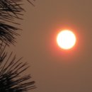 여수해양공원 이미지