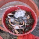 계천시장 이미지