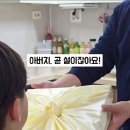 올가담 이미지