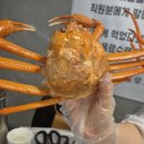 오늘의 저녁 홍게 맛집 갈마동 &#39;게판 오분전&#39;