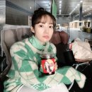 미뇽 이미지