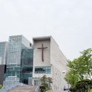 선한목자교회 티스토리