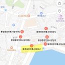 통영 중앙시장 맛집 털보활어! 갑오징어회떠다가 강구안에서 먹기(*낭만한도초과)