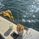 지에스25뉴제주하귀점 | 제주 심해 갑오징어 선상낚시 가이드(선사추천)