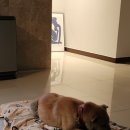 천명농장 이미지