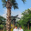 천안추모공원식당 | 천안 성성호수공원 식당&amp;카페 내돈내산 후기! (ft, 우연 고기집 ,애월빵공장) _민생회복지원금 사용가능...
