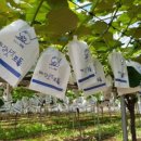 예밀촌길 이미지