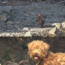 영문농장 이미지