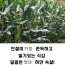 옥식농장 이미지