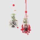 댕글라이프 이미지