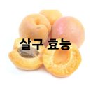 살구 효능 및 효과 보관법 이미지