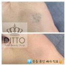 디토뷰티(Ditto beauty) 이미지