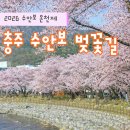 향기가득 원예교실(야간) | 충주 수안보 온천제 벚꽃 실시간 아이와 족욕 체험 봄나들이