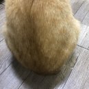 냥블리네