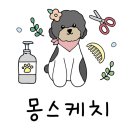 몽스케치 이미지