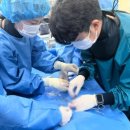 학장동물병원 이미지