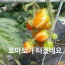 태농농장 이미지