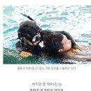 210155 이미지