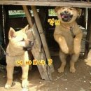 스카이(SKY)독서실 이미지