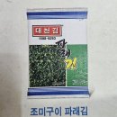 대천김 할인 이미지