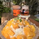 제주 토브 | 제주서귀포카페 브런치 비스트로토브 망고빙수 후기