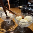 일일시호주 이미지