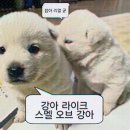 같이 이미지