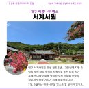 오천서원 | 대구 배롱나무 명소 서계서원 개화 상황 7월 꽃구경