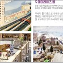 세종여행사 이미지