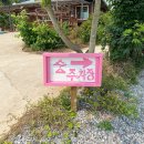 태안 애견펜션 추천 애견동반 독채펜션 그리다숨스테이 2박3일 후기