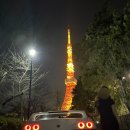 문화카세차장 | klook 도쿄 분노의 질주 드라이빙 콘텐츠 체험후기 - JDM문화 체험 /완간 C1 루프주행 오토박스시오노메...