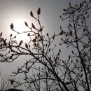 모담공원 이미지