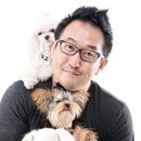 엔젤퍼피 이미지