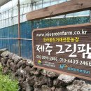 그린팜 이미지