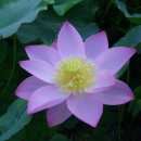 오늘의기분 이미지