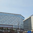 나인트리 바이 파르나스 서울 판교 호텔 객실,수영장,GYM(헬스장),비즈니스 라운지 미팅룸 이용 후기