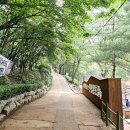 새마을로2길 이미지